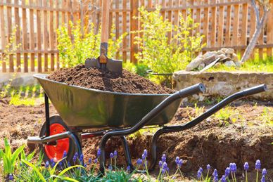 Entretien de jardin